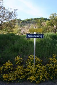 Panoramaweg in Weißenkirchen