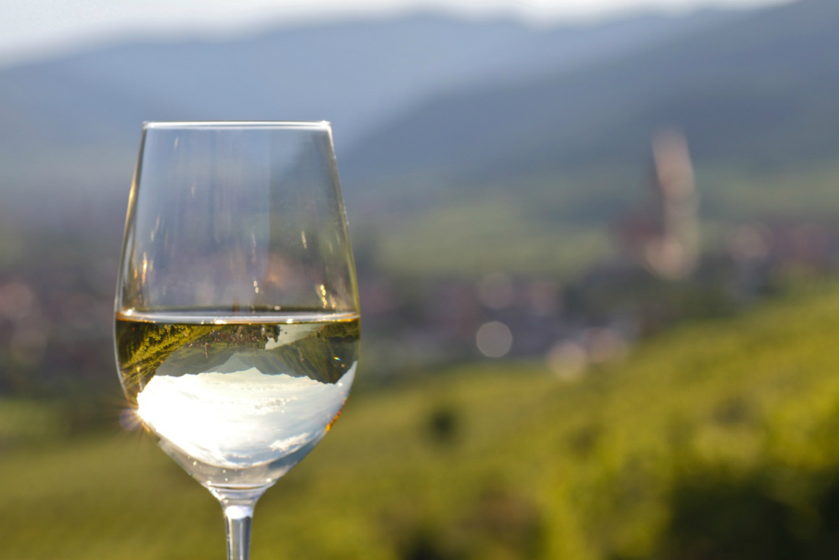 Ein Glas Wein in der Natur genießen