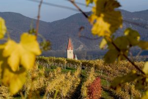 Herbst in der Wachau