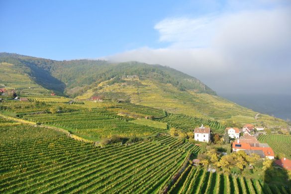 Herbststimmung in der Wachau