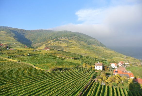 Herbststimmung in der Wachau