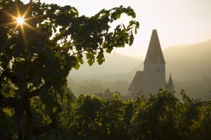 Sicht auf Weißenkirchen in der Wachau