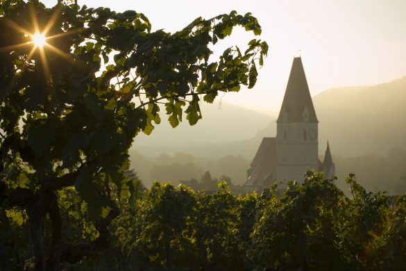 Sicht auf Weißenkirchen in der Wachau Sicht auf Weißenkirchen in der Wachau