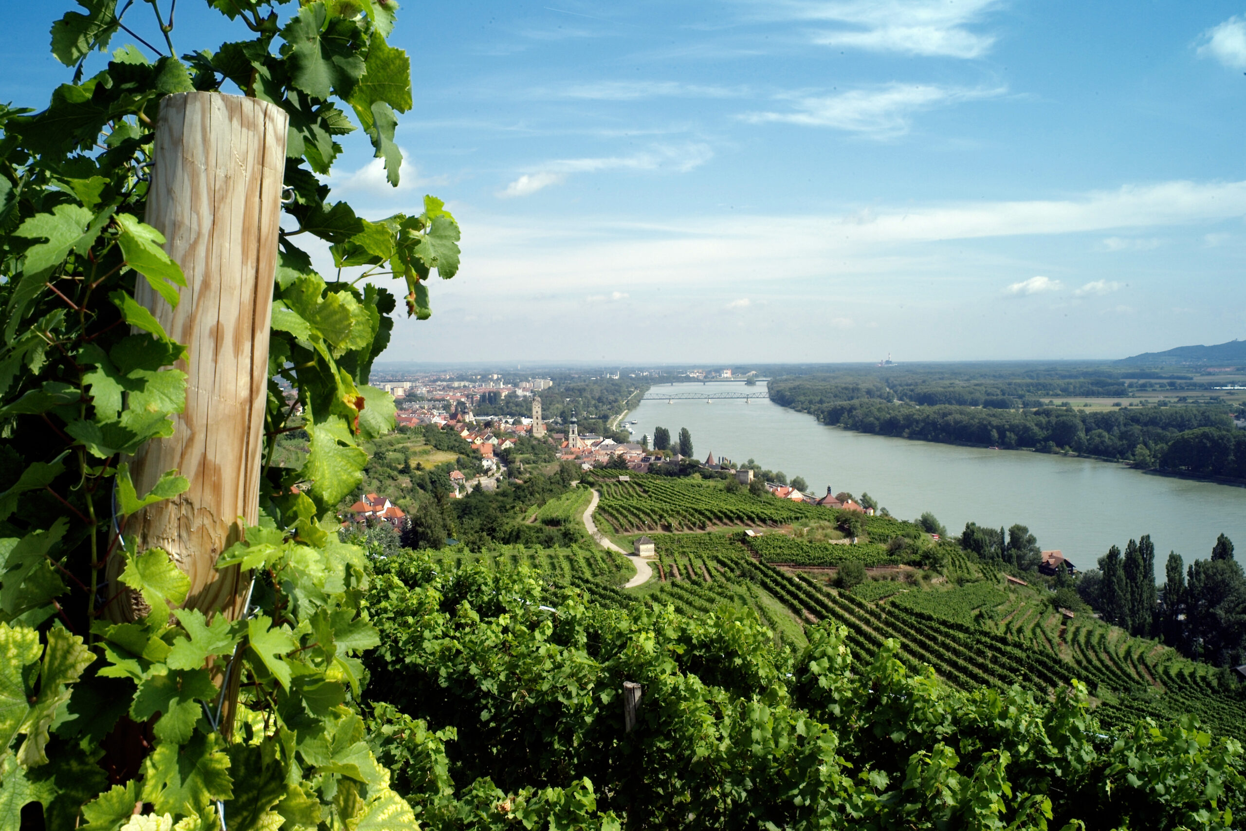 Frühling in der Wachau & den Nachbarn: Wein, Kunst und Kultur